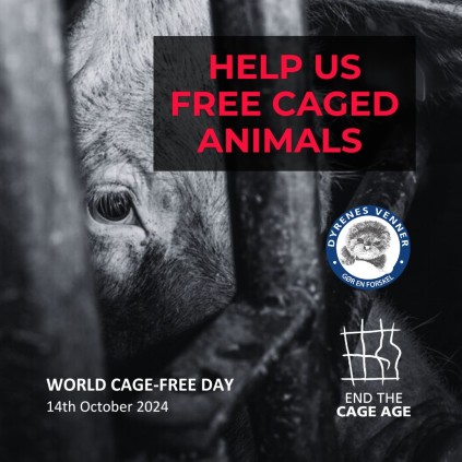 #WorldCageFreeDay #EndTheCageAge #DyrenesVenner