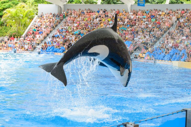 EndTheCageAge 012 - iStock-507854175 (1)